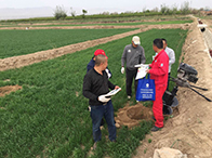 �ġ��ƴ���Փ�����ܵ����o(h��)