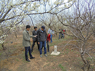 ��Ȼ��ܵ���(n��i)���gֱ���u�r���g