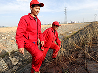 �ӏ�(qi��ng)��؈F(tu��n)�Y(ji��)���� �������Cƽ���ܵ�