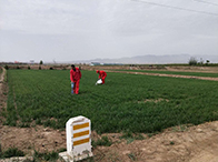 GB_50253-2014_輸油管道工程設(shè)計(jì)規(guī)范