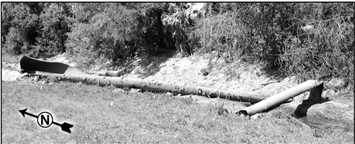 �������_���_(d��)��Ȼ���\(y��n)ݔ��˾�ܵ������¼�