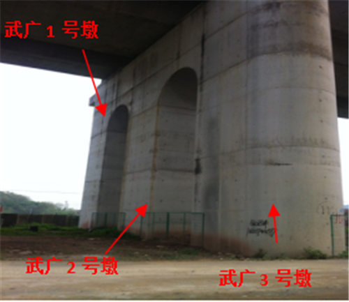 ���F������(d��ng)��(du��)�ܵ����wӰ푵ıO(ji��n)�y(c��)�о�