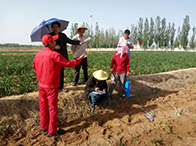 �͚�ܵ�����ʹ�Ù�(qu��n)��(w��n)�}��������(du��)��