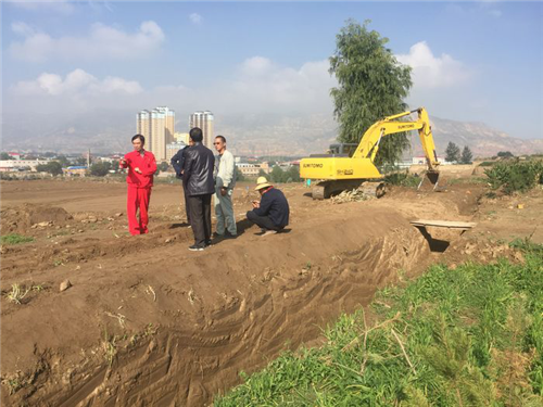 һ����ܵ�ʩ�����l(f��)�r���m��������Κv��10��ŵõ���Q��