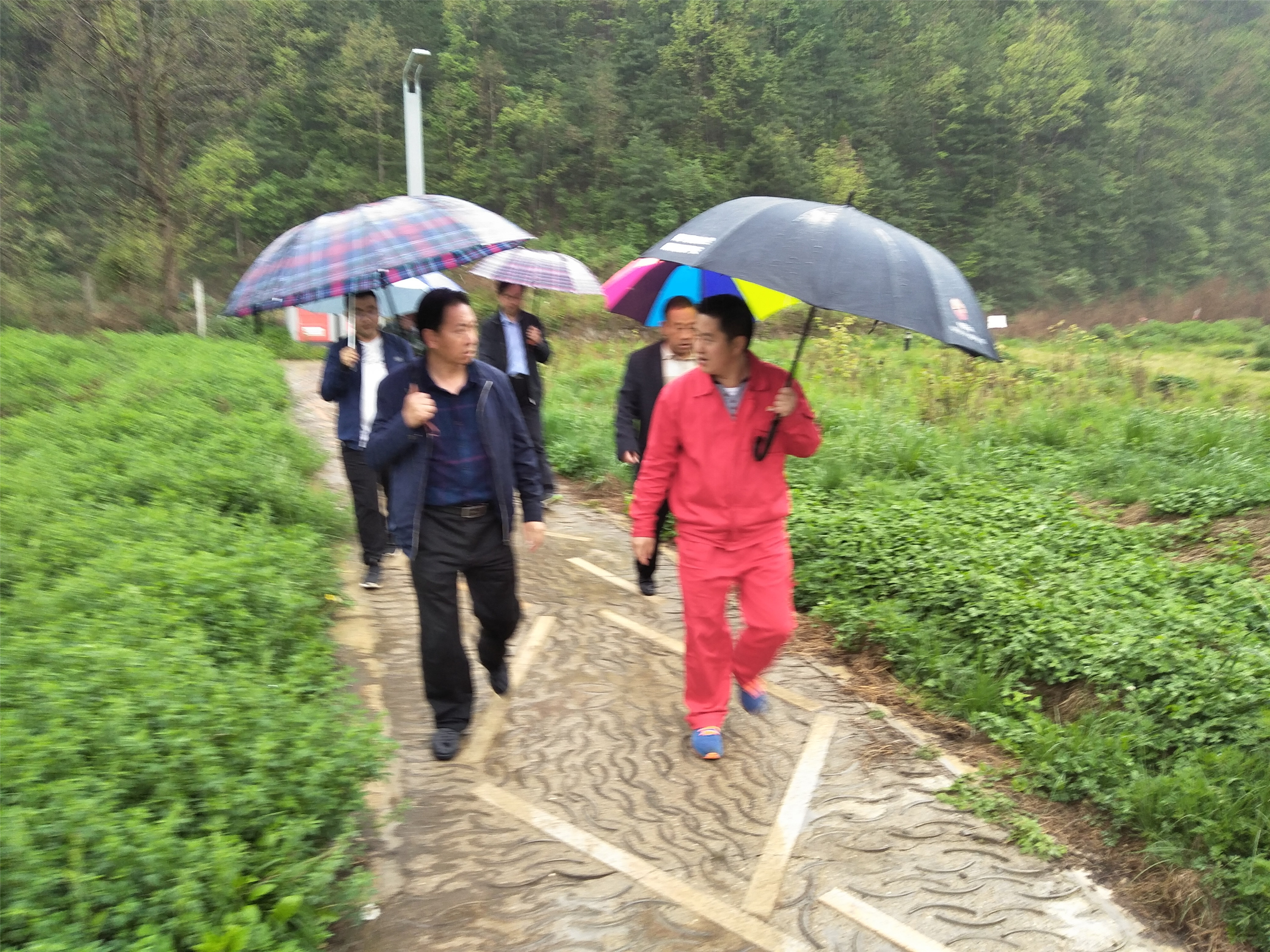 ���������ƙ�(qu��n)��ƽ��C(j��)�� �_���͚�ܵ���ȫ