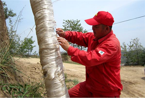 �͚�ܵ����o(h��)��(sh��)�`