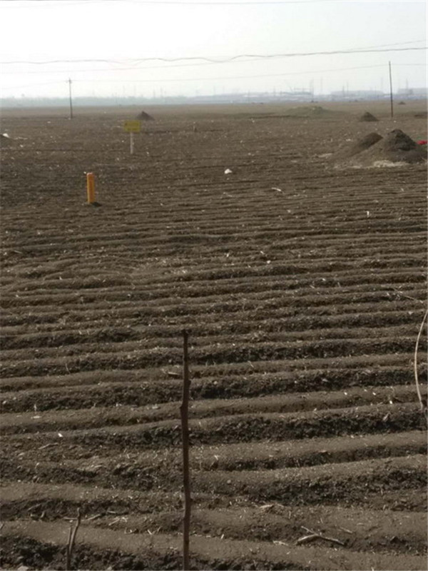 Փ�����Ϲܵ����o(h��)����