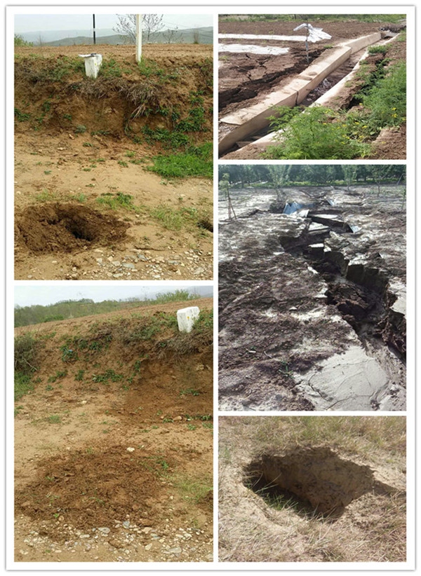 �����ܵ����ε؞�(z��i)�L(f��ng)�U(xi��n)�O(ji��n)�y�A(y��)��