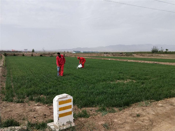 ���|(zh��)��ȫ�u�r(ji��)����Ȼ���Lݔ�ܵ����|(zh��)��(z��i)���L(f��ng)�U(xi��n)�����е��ƏV��(y��ng)��