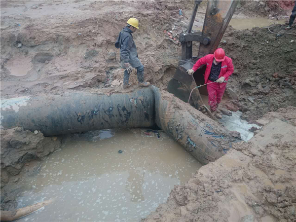 ���ڡ�12��20��������������ɹܵ������¹ʵ�˼��