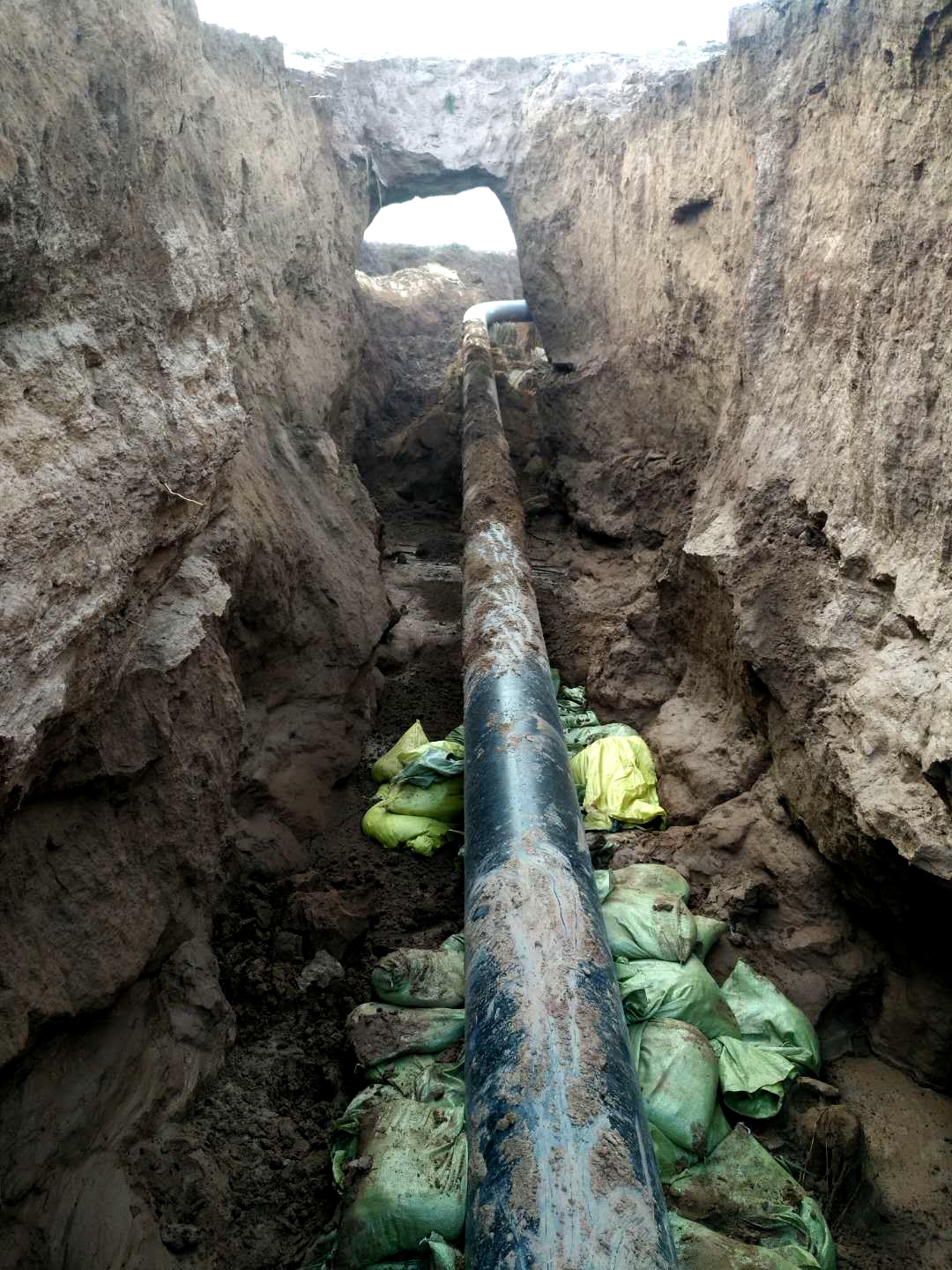 �ܵ������Թ��푪(y��ng)��(du��)���|(zh��)��(z��i)���Č�(sh��)�`