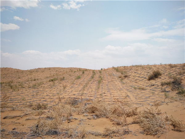 ɳĮ�؅^(q��)�L(zh��ng)ݔ�ܵ��L(f��ng)ɳ�����A(y��)��������