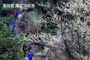 ���������(zh��n)ȼ?x��)�ܵ��ߺ���^(q��)�ܿ��y�c(di��n)������