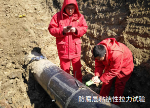 �붨���L(f��ng)�U(xi��n)�u(p��ng)�r(ji��)����ԭ�͹ܵ��đ�(y��ng)�Ì�(sh��)�`����Է���