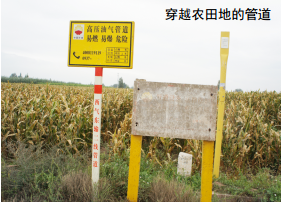 �Ɏ���ӛ�������V�A�m�����l(f��)��˼��