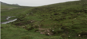 ����(ji��)�ԃ����^(q��)б���w�们��������عܵ���(y��ng)׃�O(ji��n)�y(c��)�c��(y��ng)������