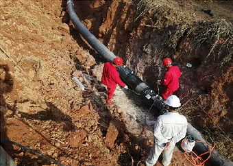 ȫ���ԡ���(f��)�� �������M(j��n)�����ό��ֹ�˾�n�R֧�����w�o(j��)��(sh��)