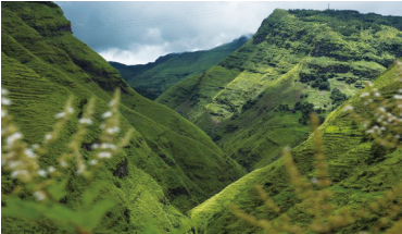 ɽ�^(q��)�ܵ����μ�׃���ĺ�Ӱ��c���ؽ��h