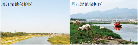 ����|ݔ���������l(w��i)�����ң������O(sh��)Ӌ�Ŀ�����w��