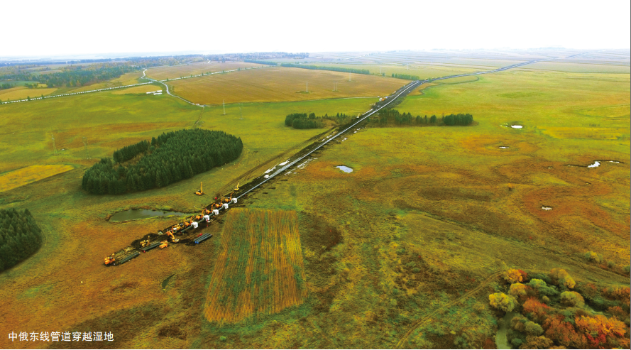 ���W(xu��)܊���P(gu��n)�ژ�(g��u)���ܵ��ИI(y��)���|(zh��)��ȫ�O(sh��)Ӌ(j��)�wϵ��˼��