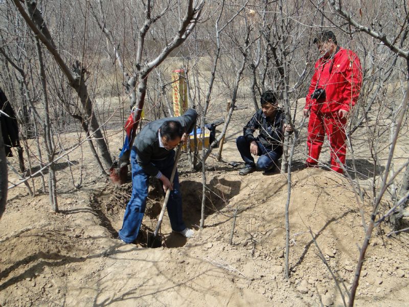 �͚�ܵ��Ϸ����N���ֲ��Ҏ(gu��)��֮��Ҋ