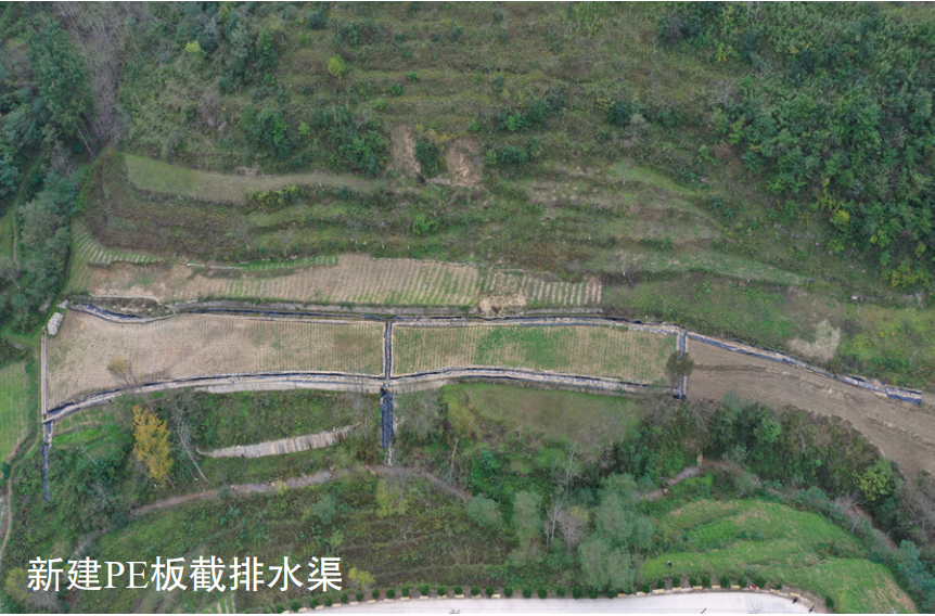 ɽ�^(q��)�ܵ�������o(h��)�������°���