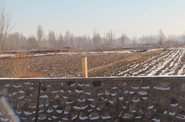 �����ܵ����O(sh��)���o�c�������gҎ(gu��)���ąf(xi��)�{(di��o)��