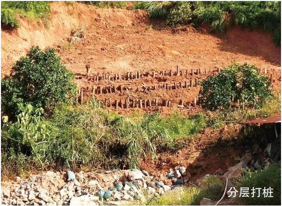 �ܵ���߅ɰ�|(zh��)��������ĺ���������ʩ