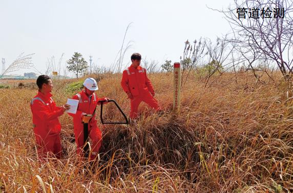 ���γ��е��F�sɢ����ɔ_���`