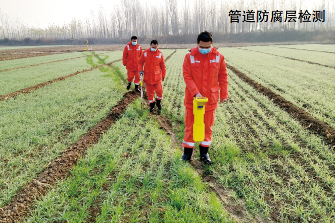 �ܵ����팦(du��)Ԓ��48������Ѫ��ˮ�r(sh��)�̱�����ܵ���ȫ