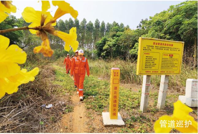 �����ܵ�Ѳ�oЧ�ܵ�˼��