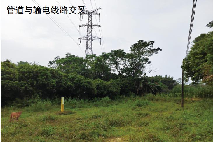 ����ݔ늾�·��(du��)�͚�ܵ���늴�Ӱ푼���ֵ����