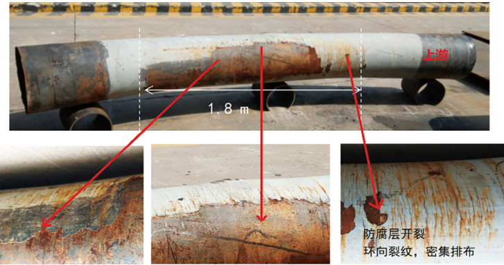 ���I(y��)�@�^(q��)��(n��i)��Ȼ��ܵ�����׃�ΰ�������