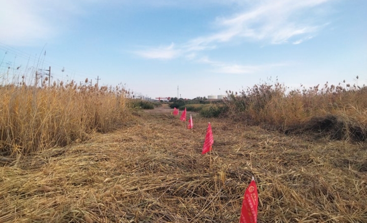 �������ʯ����Ȼ��ܵ����o(h��)���P(gu��n)�ڡ����o(h��)���x���͡����x����Ҏ(gu��)��