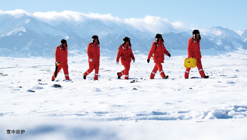 ���������e�O��(chu��ng)�¹ܵ�Ѳ�o(h��)��ʽ ����ʯ����Ȼ��ݔ�Ͱ�ȫ