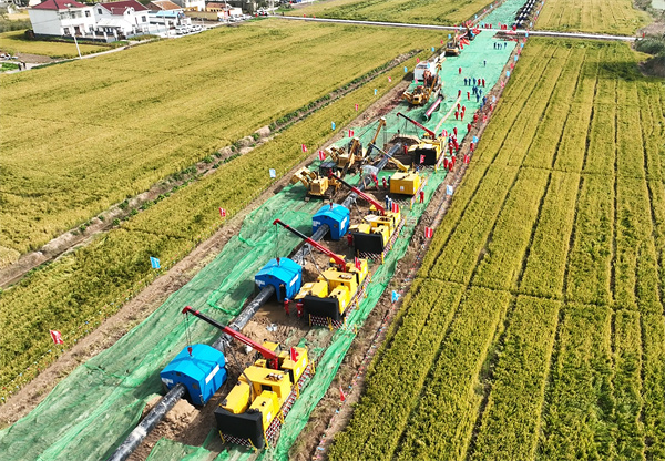 �B�x�ܵ������B�����_(k��i)��45�캸�ӳ�20����  �A(y��)Ӌ(j��)2025���ϰ��ꌍ(sh��)�F(xi��n)���w�ܵ�ȫ��(xi��n)؞ͨ