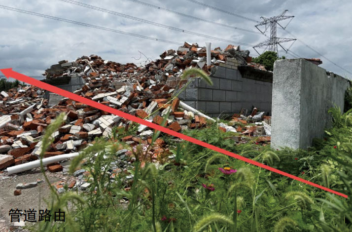 �l(xi��ng)�(zh��n)�������������ܵ��Ϸ�ռ���[������