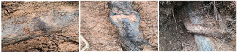 ֲ���ϵӰ��Lݔ��Ȼ��ܵ���������{(di��o)�����