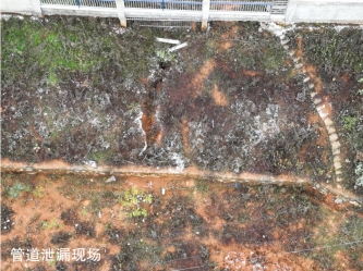 �x�L����6��29��ԭ�͹ܵ�й©����