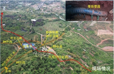 ���̔_���T�l(f��)����(d��o)�¹ܵ�׃�ΰ���